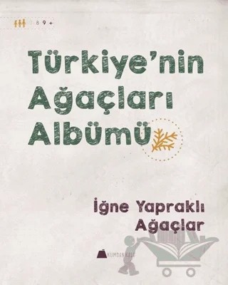 Türkiye'nin Ağaçları Albümü - İğne Yapraklı Ağaçlar – Işıl Erverdi – Kumdan Kale kitap kapağı