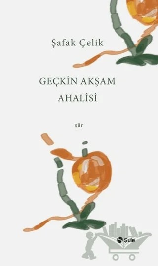 Geçkin Akşam Ahalisi – Şafak Çelik – Şule Yayınları kitap kapağı