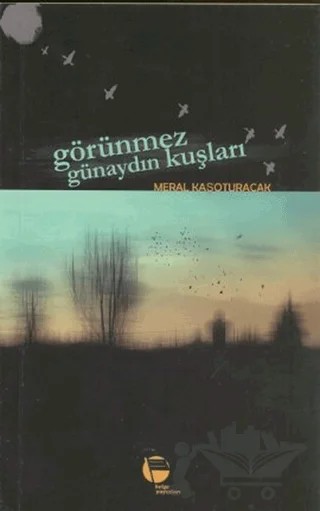 Görünmez Günaydın Kuşları – Meral Kaşoturacak – Belge Yayınları kitap kapağı
