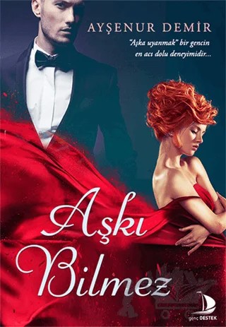 Aşkı Bilmez – Ayşenur Demir – Destek Yayınları kitap kapağı