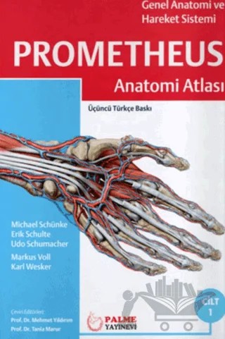 Prometheus Anatomi Atlası 1. Cilt – Karl Wesker, Markus Voll, Udo Schumacher, Michael Schünke, Erik Schulte – Palme Yayıncılık kitap kapağı
