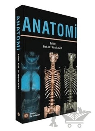 Anatomi – Niyazi Acer – İstanbul Tıp Kitabevi kitap kapağı