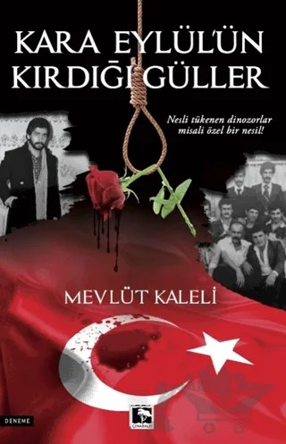 Kara Eylül'ün Kırdığı Güller – Mevlüt Kaleli – Çınaraltı Yayınları kitap kapağı