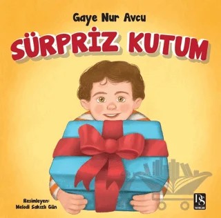Sürpriz Kutum – Gaye Nur Avcu – DS Yayınları kitap kapağı
