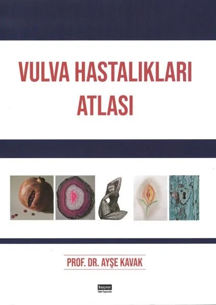 Vulva Hastalıkları Atlası – Prof. Dr. Ayşe Kavak – Nobel Tıp Kitabevleri kitap kapağı