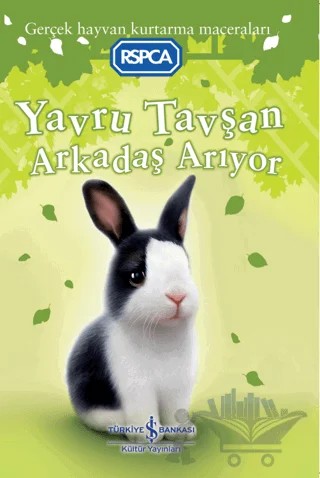 Yavru Tavşan Arkadaş Arıyor – Jill Hucklesby – İş Bankası Kültür Yayınları kitap kapağı