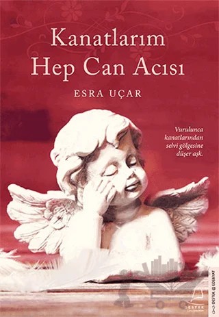 Kanatlarım Hep Can Acısı – Esra Uçar – Destek Yayınları kitap kapağı