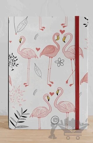Flamingo – Defterci kitap kapağı