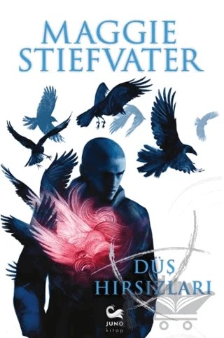 Düş Hırsızları – Maggie Stiefvater – Juno Kitap kitap kapağı