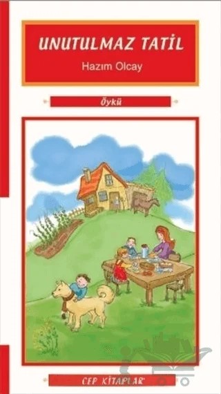 Unutulmaz Tatil – Hazım Olcay – Morışık Yayınları kitap kapağı