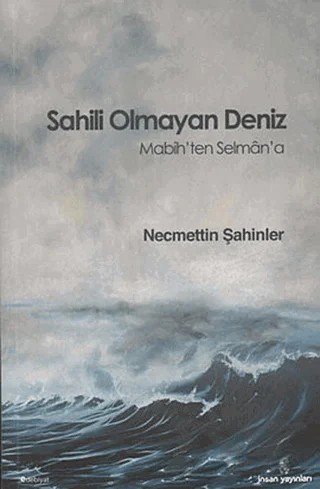 Sahili Olmayan Deniz – Necmettin Şahinler – İnsan Yayınları kitap kapağı