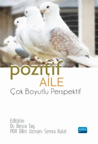 POZİTİF AİLE - Çok Boyutlu Perspektif – Azmi Çağlar, Besra Taş, Eda Nur Kocaman, Latife Kabaklı Çimen, Mahmut Çeliker, Mehmet Avcı, Semra Bulut, Ülkü Tosun, Yakup İme – Nobel Akademik Yayıncılık kitap kapağı