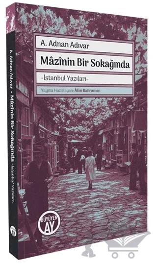 Mazînin Bir Sokağında