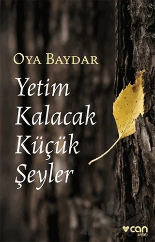 Yetim Kalacak Küçük Şeyler – Oya Baydar – Can Yayınları kitap kapağı