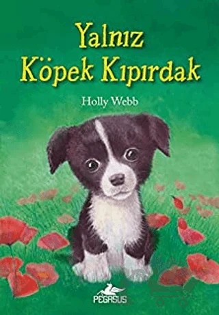 Yalnız Köpek Kıpırdak – Holly Webb – Pegasus Çocuk Yayınları kitap kapağı