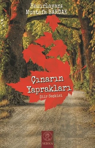 Çınarın Yaprakları – Mustafa Bardak – Sedna Yayınları kitap kapağı