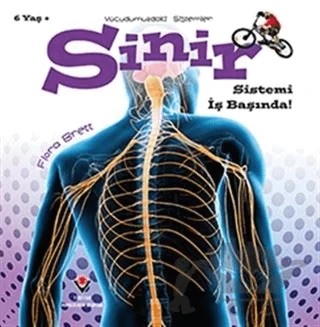 Sinir Sistemi İş Başında! - Vücudumuzdaki Sistemler – Flora Brett – TÜBİTAK Yayınları kitap kapağı
