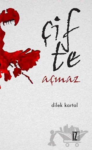 Çifte Açmaz – Dilek Kartal – İz Yayıncılık kitap kapağı