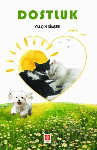 Dostluk – Yalçın Şimşek – Ekin Basım Yayın kitap kapağı