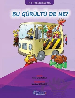 Bu Gürültü de Ne ? – Ayşe Turla – Hedef CS Yayıncılık kitap kapağı