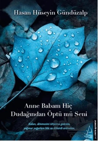 Anne Babam Hiç Dudağından Öptü mü Seni – Hasan Hüseyin Gündüzalp – Destek Yayınları kitap kapağı