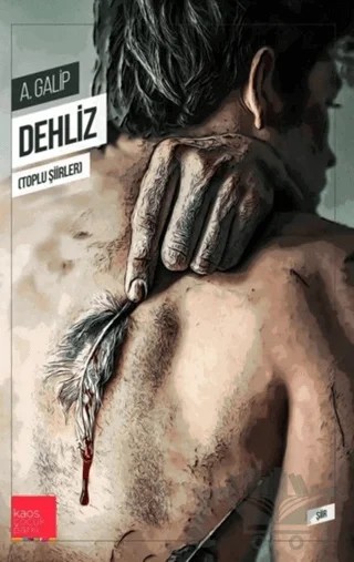 Dehliz – A. Galip – Kaos Çocuk Parkı Yayınları kitap kapağı