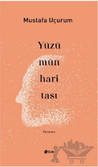 Yüzümün Haritası – Mustafa Uçurum – Şule Yayınları kitap kapağı