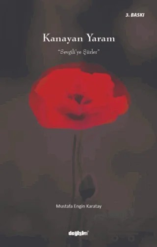 Kanayan Yaram – Mustafa Engin Karatay – Değişim Yayınları kitap kapağı