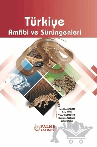 Türkiye Amfibi ve Sürüngenleri – Aziz Avcı, Çetin Ilgaz, İbrahim Baran, Kurtuluş Olgun, Yusuf Kumlutaş – Palme Yayıncılık kitap kapağı