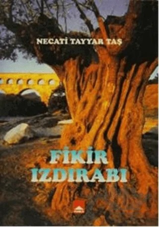Fikir Izdırabı – Necati Tayyar Taş – Hamle Yayınevi kitap kapağı