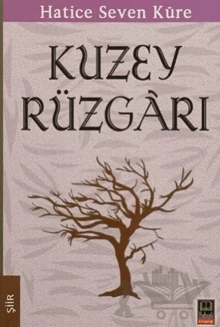 Kuzey Rüzgarı – Hatice Seven Küre – Babıali Kitaplığı kitap kapağı
