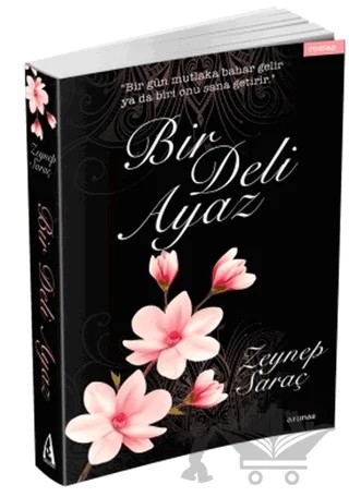 Bir Deli Ayaz – Zeynep Saraç – Arunas Yayıncılık kitap kapağı