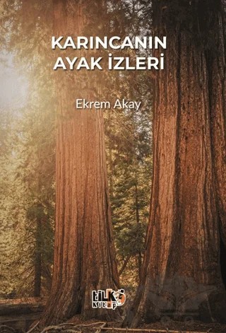 Karıncanın Ayak İzleri – Ekrem Akay – Tilki Kitap kitap kapağı