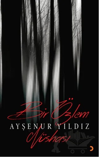 Bir Özlem Nüshası – Ayşenur Yıldız – Cinius Yayınları kitap kapağı