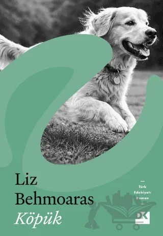 Köpük – Liz Behmoaras – Doğan Kitap kitap kapağı