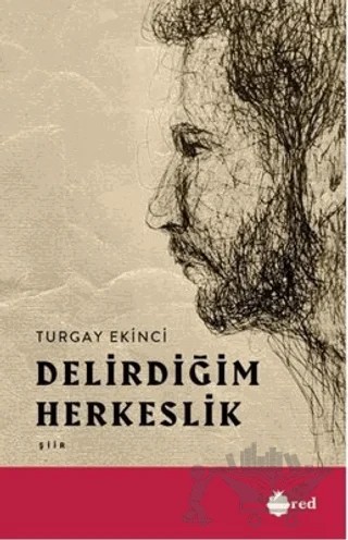 Delirdiğim Herkeslik – Turgut Ekinci – Red Yayınları kitap kapağı