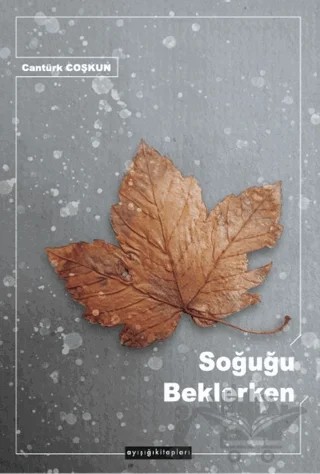 Soğuğu Beklerken – Cantürk Coşkun – Ayışığı Kitapları kitap kapağı