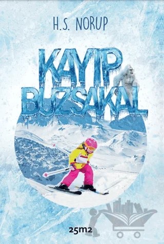 Kayıp Buzsakal – N. S. Norup – 25m2 Kitap kitap kapağı