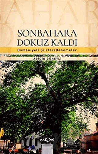 Sonbahara Dokuz Kaldı – Abidin Güneyli – Akçağ Yayınları kitap kapağı