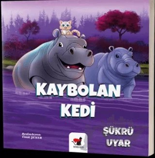 Kaybolan Kedi – Şükrü Uyar – Benekli Kedi Yayınevi kitap kapağı