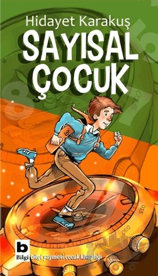 Sayısal Çocuk – Hidayet Karakuş – Bilgi Yayınevi kitap kapağı