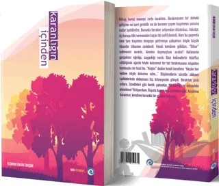 Karanlığın İçinden – Yıldırım Erkan Tavşan – NSN Yayınevi kitap kapağı