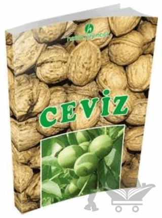 Ceviz – Kolektif – Hasad Yayıncılık kitap kapağı