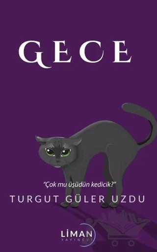 Gece – Turgut Güler Uzdu – Liman Yayınevi kitap kapağı