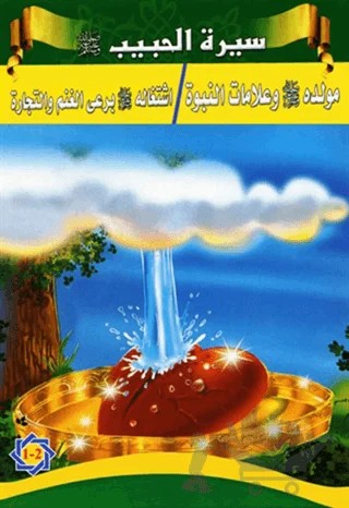 Siretül Habib / Peygamberimizin Hayatı - 5 Kitap – Tacettin Uzun – Hikmetevi Yayınları kitap kapağı