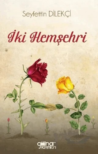 İki Hemşehri – Seyfettin Dilekçi – Gülnar Yayınları kitap kapağı