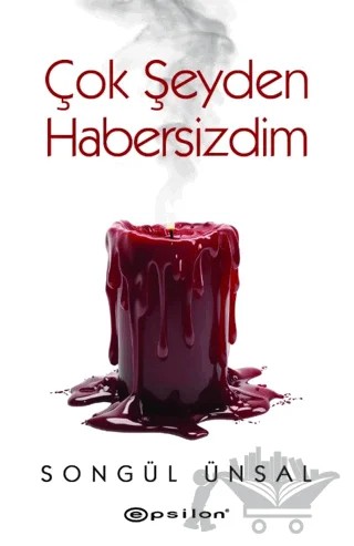 Çok Şeyden Habersizdim – Songül Ünsal – Epsilon Yayınevi kitap kapağı