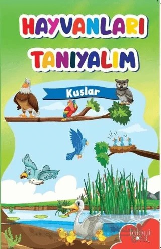 Hayvanları Tanıyalım - Kuşlar – Kolektif – Koloni Çocuk kitap kapağı