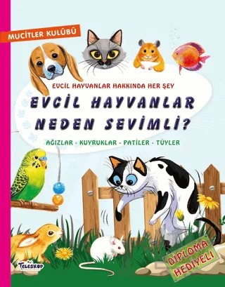 Evcil Hayvanlar Neden Sevimli? – Ewa Klos, Joanna Tottoczko – Teleskop Popüler Bilim kitap kapağı
