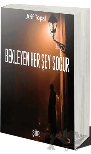 Bekleyen Her Şey Soğur – Arif Topal – Cinius Yayınları kitap kapağı